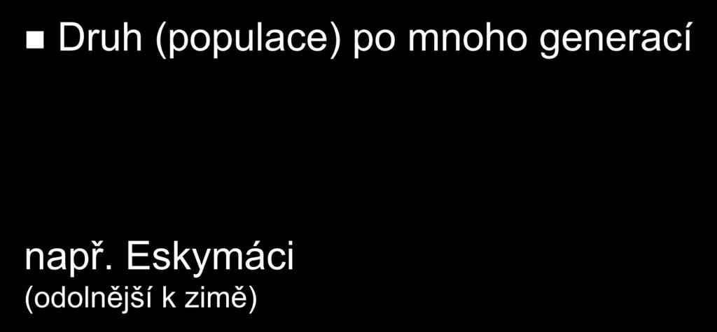 Evoluční" přizpůsobení