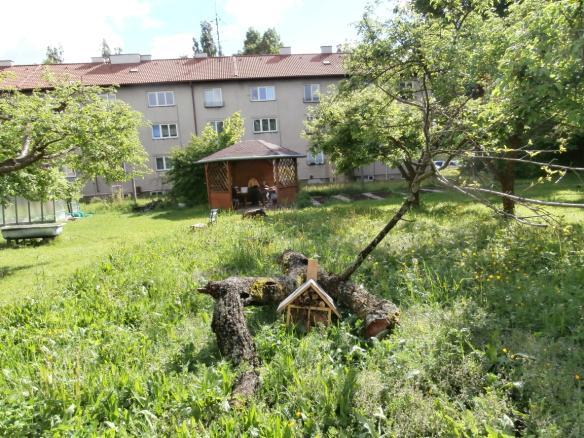 Je to část, která se neseká a nijak neupravuje, nechává se žít svým životem.