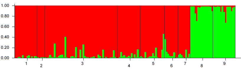 Perlorodka říční záchranný chov Individual-based assignments: Bayesiánská statistika Markov chain Monte-Carlo