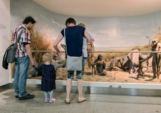 Moravské zemské muzeum_výroční zpráva 2015 růst o 13 % oproti roku 2017 (převážně školní mládež). Zahraniční služební cesty P. Kostrhun: 1. 3. 3. 4.