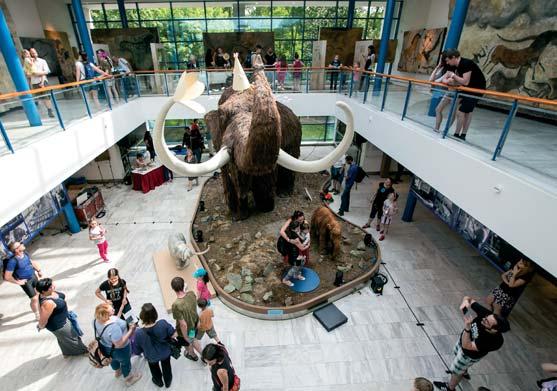 , účast na konferenci Archeologie západní Ukrajiny, Lvov, Ukrajina (příspěvek Spolupráce českých a lvovských archeologů mezi světovými válkami). Z.