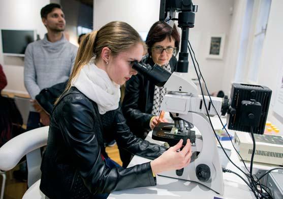 Moravské zemské muzeum_výroční zpráva 2015 JGM přišel do Brna před 175 lety, M revue 2/2018, s. 70. Informační materiál Stezka Mendelovým Brnem. MZM 2018. Skládačka.