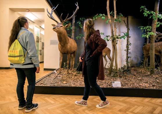 Kolibáč) a probíhala spolupráce s redakcí časopisu Acta Entomologica Musei Nationalis Pragae (I. Malenovský). Dokončována byla redakce 2. rozšířeného vydání knihy Příroda České republiky.