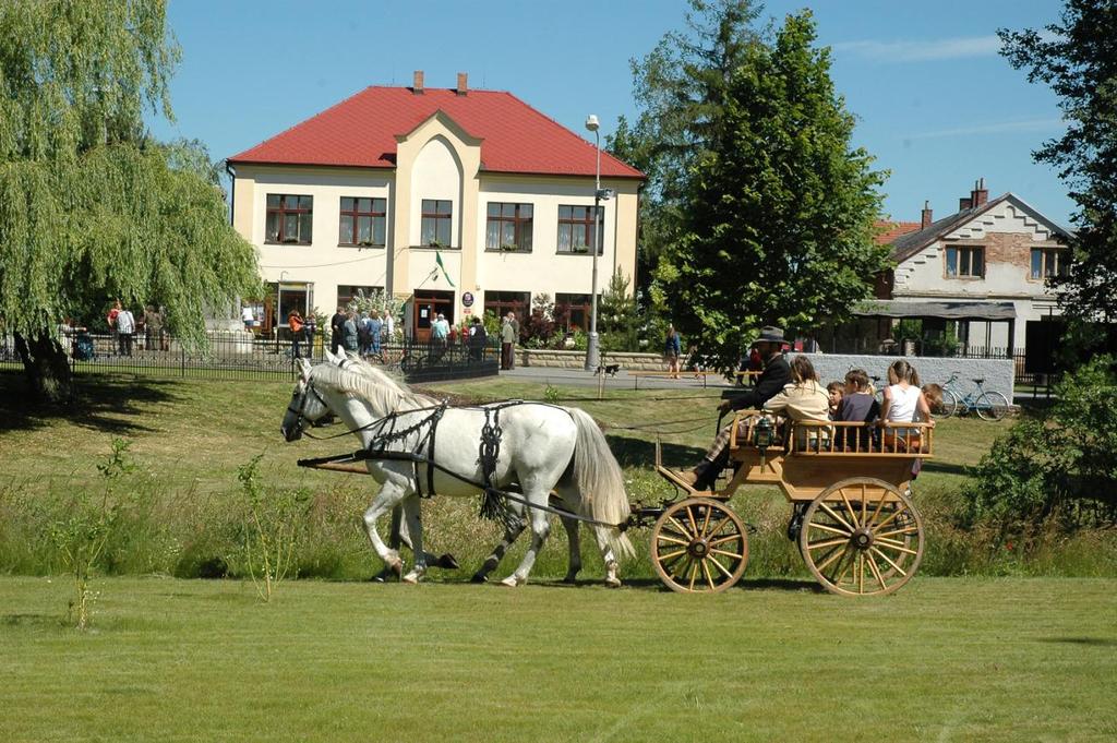 Příloha č.