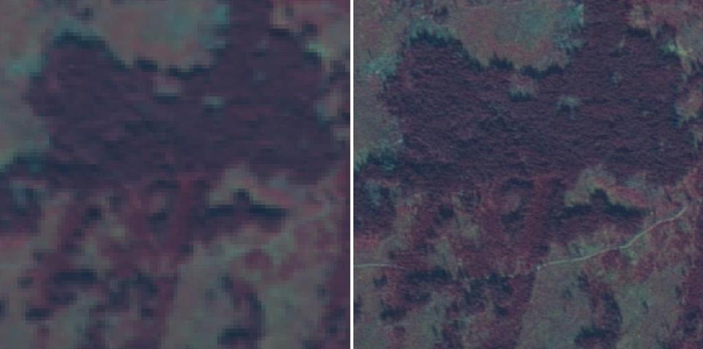 Jak již bylo uvedeno výše, multispektrální snímek má prostorové rozlišení 10 m a panchromatický 2,5 m (tedy 4x vyšší).