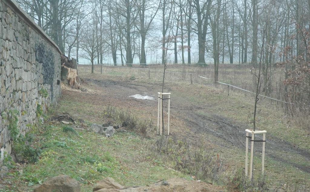 stupně ZŠ a to: Jiří Urban, Estrer Zákravská, Celkový výtěžek z této akce byl vložen do Unie rodičů a poslouží pro potřeby žáků MŠ a ZŠ. provedeme náhradní výsadbu.