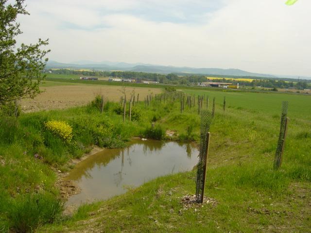 ÚSK - cílové