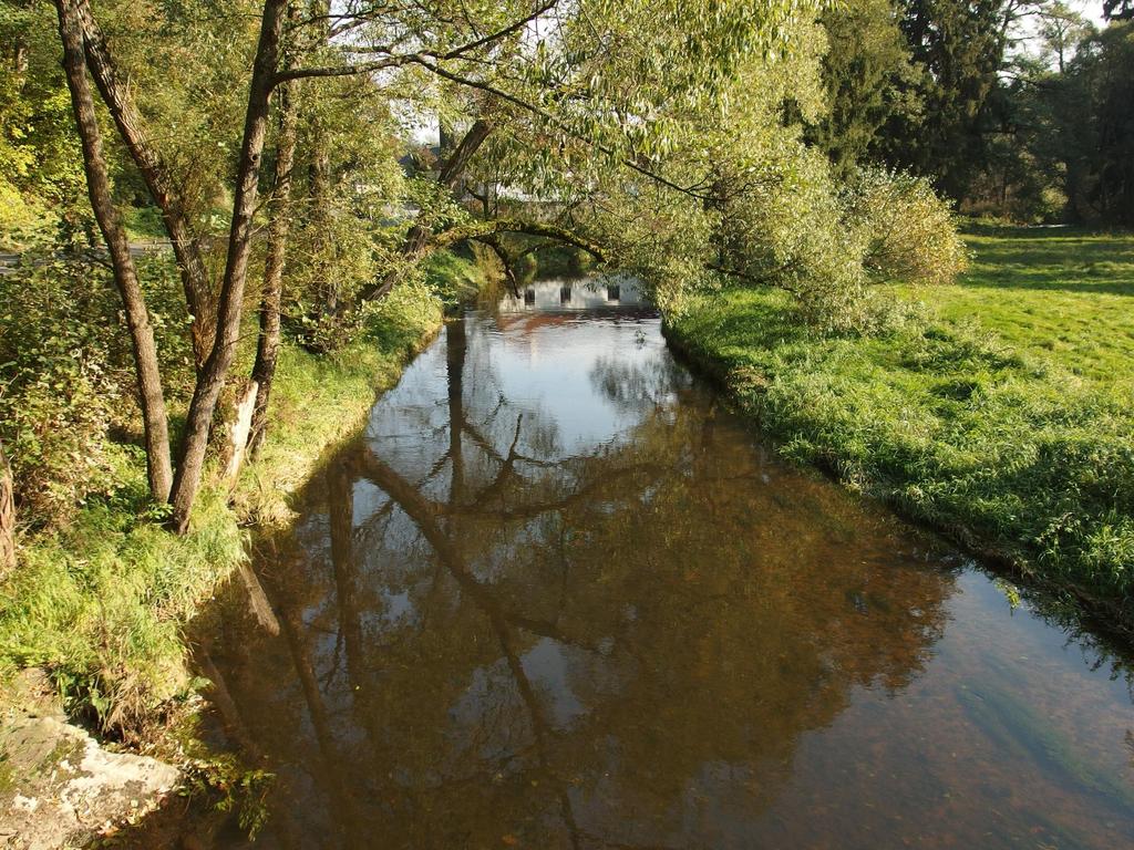 BIOEKONOMIKA inovace ANO/NE?