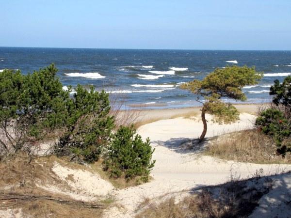 Příloha 3 Palanga, Litva 3 3 http://www.