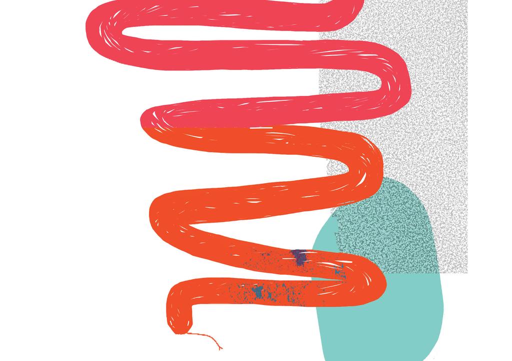 Příloha 12 Ilustrace,