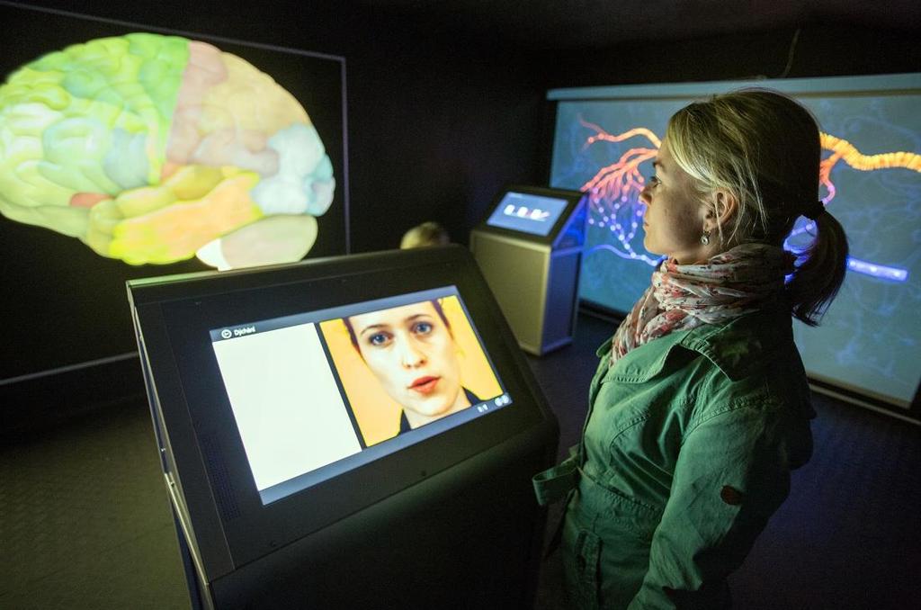 ROZUM V HRSTI osmimetrová maketa lidského mozku nabízí projekci