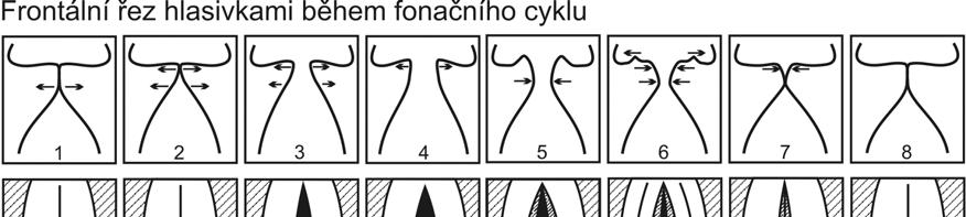 Obr. 6.