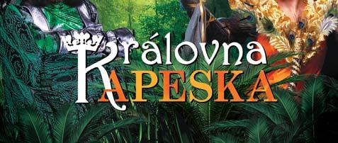Došlo ke konfliktu, při kterém byl zadržen strážníky na chvíli sochařův bratr Tomáš. Mariánský sloup rozděluje i pražskou polickou scénu a to zajímavým způsobem.
