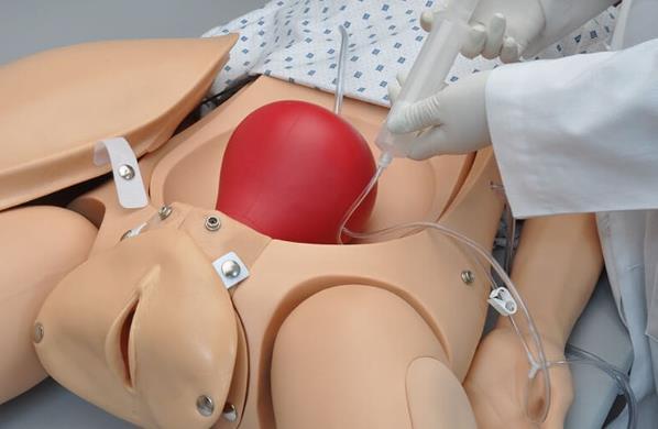 2.2 Porodní simulátor žena v životní velikosti s pohyblivými klouby intubovatelné dýchací cesty s pohyblivým hrudníkem paže s žilním přístupem