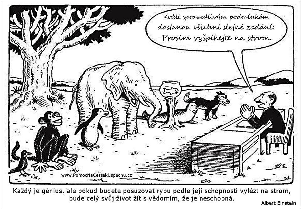 Osnova 1. Výkonové vlastnosti člověka 2. Vlohy 3. Schopnosti 4. Druhy schopností 5. Nadání, talent, genialita 6.