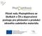 Plísně rodu Phytophthora ve školkách v ČR a doporučené postupy pro pěstování a produkci zdravého sadebního materiálu