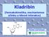 Kladribin. (farmakokinetika, mechanismus účinku a lékové interakce) PharmDr. Josef Suchopár