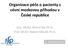 Organizace péče o pacienty s cévní mozkovou příhodou v České republice. Doc. MUDr. Michal Bar Ph.D. Prof. MUDr. Robert Mikulík Ph.D.