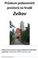 Zvíkov. Průzkum podzemních prostorů na hradě. Průzkum byl proveden za účasti amatérských badatelských společností: Projekt Záře, KPUFO, Agartha, Jesen