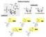 Cytosin Thymin Uracil