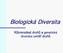 Biologická Diversita. Různorodost druhů a genetická diversita uvnitř druhů