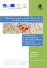 Manuál pracovních postupů v GIS pro oblast sociálního výzkumu a sociální práci