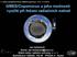 GMES/Copernicus a jeho možnosti využití při řešení radiačních nehod
