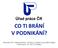 CO TI BRÁNÍ V PODNIKÁNÍ? Úřad práce ČR, Krajská pobočka v Olomouci, kontaktní pracoviště Prostějov, Plumlovská č. 36, 796 01 Prostějov