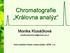 Chromatografie Královna analýz