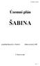 ÚP ŠABINA - NÁVRH. Územní plán ŠABINA. projektant:ing.arch.a. Kasková datum: prosinec 2008. 1.Textová část. str.č 1