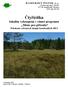 Čtyřicítka. lokalita vykoupená v rámci programu Místo pro přírodu Průzkum vybraných skupin bezobratlých 2013