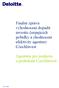 Finální zpráva vyhodnocení dopadů investic čerpajících pobídky a zhodnocení efektivity agentury CzechInvest