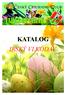 KATALOG IRSKÝ VLKODAV