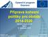 Příprava kohezní politiky pro období 2014-2020 Výroční fórum ACRI Štiřín 8. listopadu 2012
