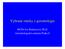 Vybrané otázky z gerontologie. MUDr.Iva Holmerová, Ph.D. Gerontologické centrum Praha 8