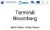 Terminál Bloomberg. Martin Řezáč, Ondřej Pokora