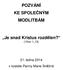 POZVÁNÍ KE SPOLEČNÝM MODLITBÁM. Je snad Kristus rozdělen? (1Kor 1,13) 21. ledna 2014 v kostele Panny Marie Sněžné