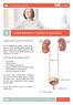 Léčba kamenů v ledvině a močovodu