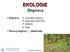 EKOLOGIE Doprava. doprava ochranná pásma migrační překážky nehody hluk Rozvoj dopravy - plánování. Katedra hydromeliorací a krajinného inženýrství
