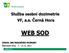 Flexible solutions. Služba osobní dozimetrie VF, a.s. Černá Hora WEB SOD. XXXIII. DNI RADIAČNEJ OCHRANY Štiavnické vrchy 7. - 11.11. 2011. www.vf.