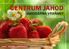 centrum jahod Jahodárna Vraňany katalog 2012 Zdravé jahody pro Vaše děti