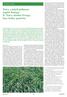 Trávy a jejich příbuzní napříč biotopy II. Trávy střední Evropy: lesy, louky, pastviny