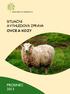 Situační a výhledová zpráva ovce a kozy