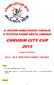 CHRUDIM CITY CUP 2015