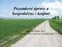 Pozemkové úpravy a hospodaření v krajině. Ing. Jiří Hladík, Ph.D. Výzkumný ústav meliorací a ochrany půdy, v.v.i.