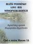 BLIŽŠÍ PODMÍNKY LOVU RYB MIMOPSTRUHOVÝCH. Rybářský spolek Napajedla-Spytihněv. Platí v revíru Morava 1A