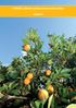 V PRE The Basics of Or SU: zákulisí výrob ange Jui y pomeranč vé šťávy SHRNUTÍ