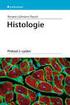 Osnova přednášek z histologie a embryologie pro 2. r. všeobecného i zubního lékařství, zimní semestr strana 1/6