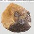 Horniny a minerály II. část. Přehled nejdůležitějších minerálů