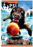 Zlomeniny Agility Dogdancing Dogfrisbee Dostihy & Coursing Flyball Mushing & Dogtrekking Obedience Pasení Sportovní kynologie Záchranáři